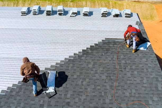 Best Shingle Roofing Installation  in Monterey, TN